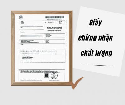 Thảm nhập khẩu chất lượng cao theo tiêu chuẩn Oeko-Tex Đức