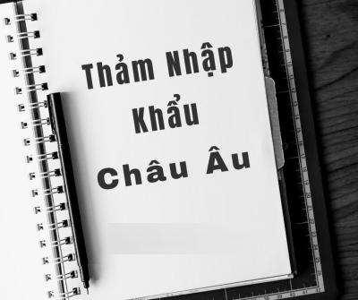 Thảm nhập khẩu Châu Âu